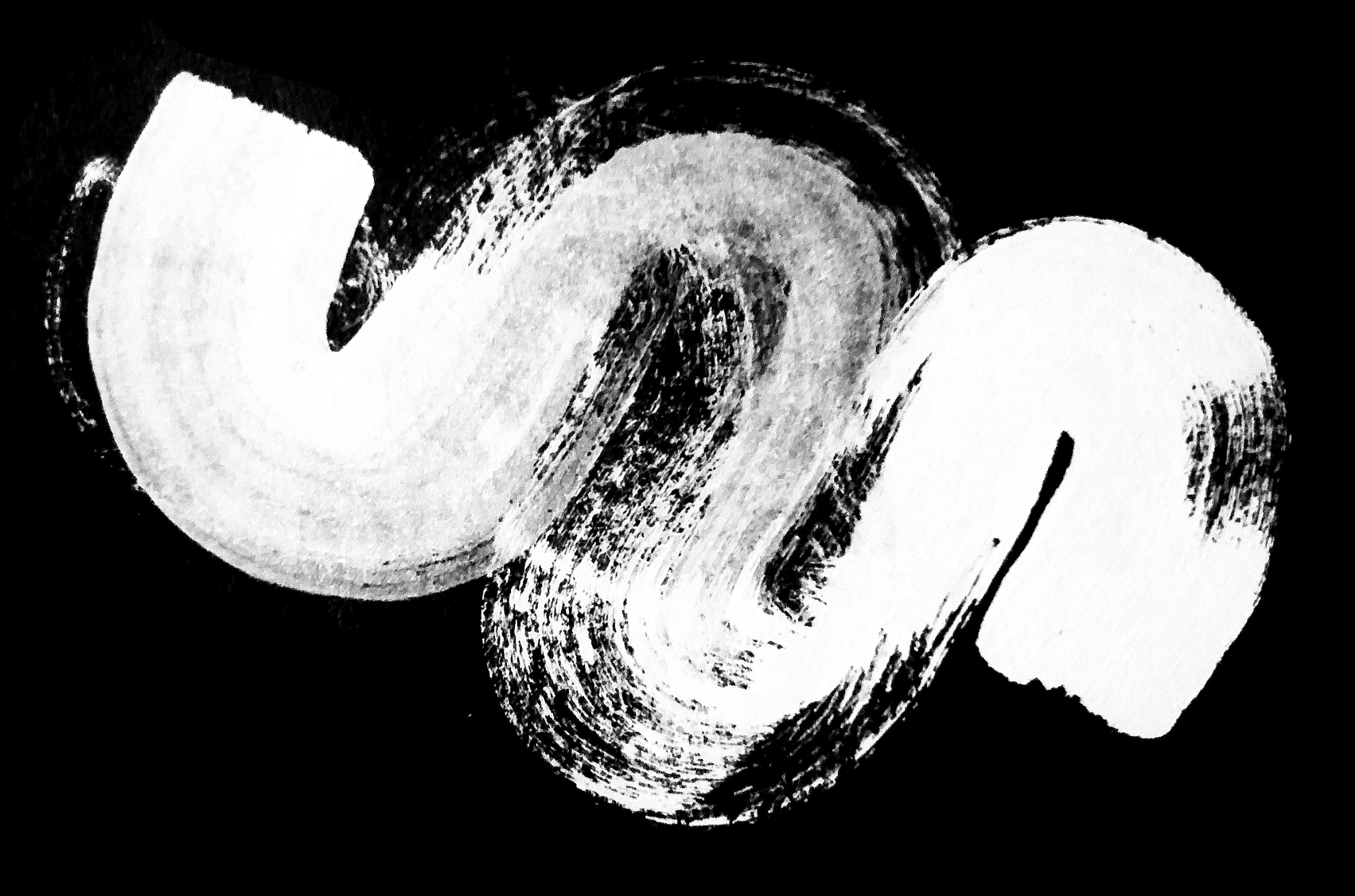 Sabine Schoch Logo Weiss